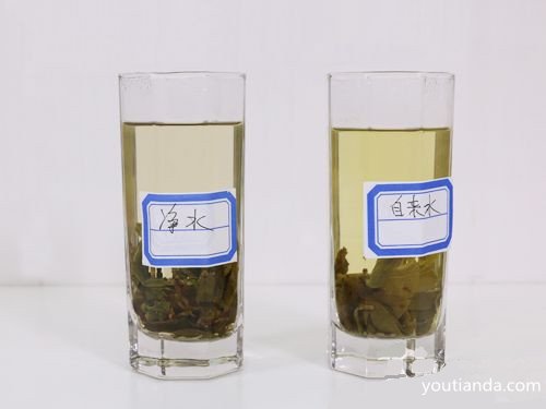 鐵觀音茶湯對比