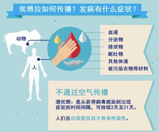 埃博拉如何傳播?